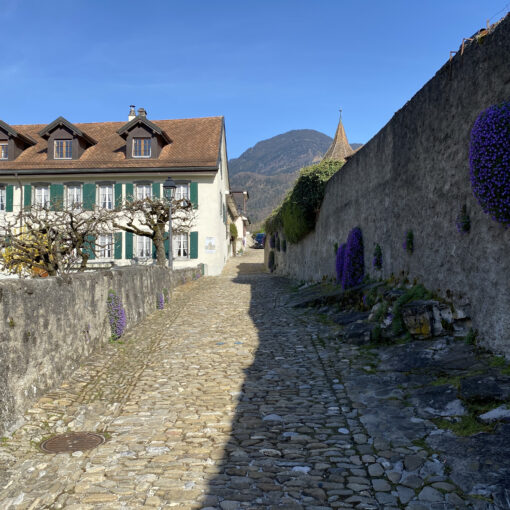 Biodiversité à Aigle