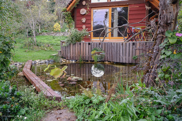 Jardin sauvage et naturel à l'Abergement en Suisse
