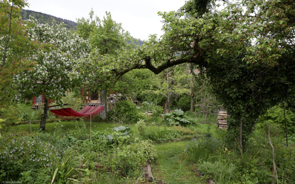 formation jardin foret