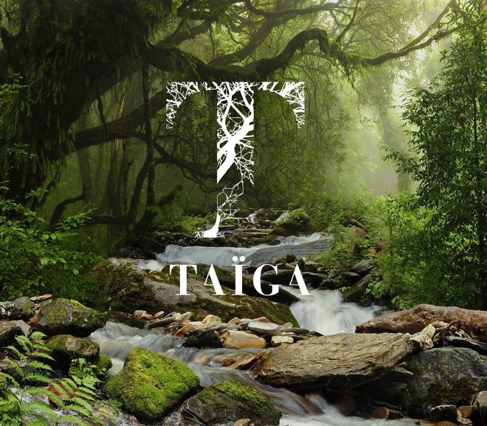 taiga