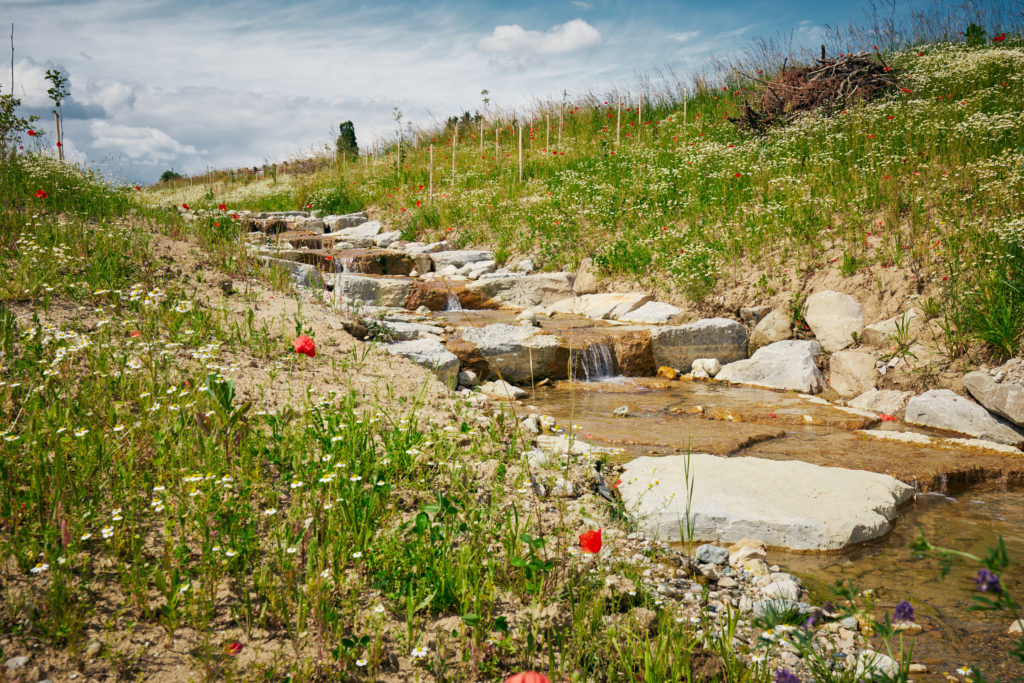 Renaturation d’un cours d’eau – Taïga Inspiration Nature